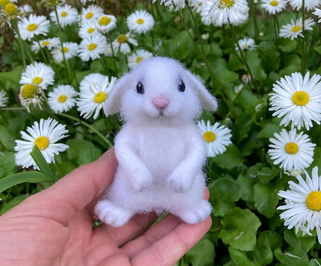 cute little white bunny