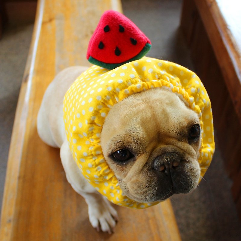 Chilled dog Zura * Yellow- * Red watermelon - ชุดสัตว์เลี้ยง - ขนแกะ สีเหลือง