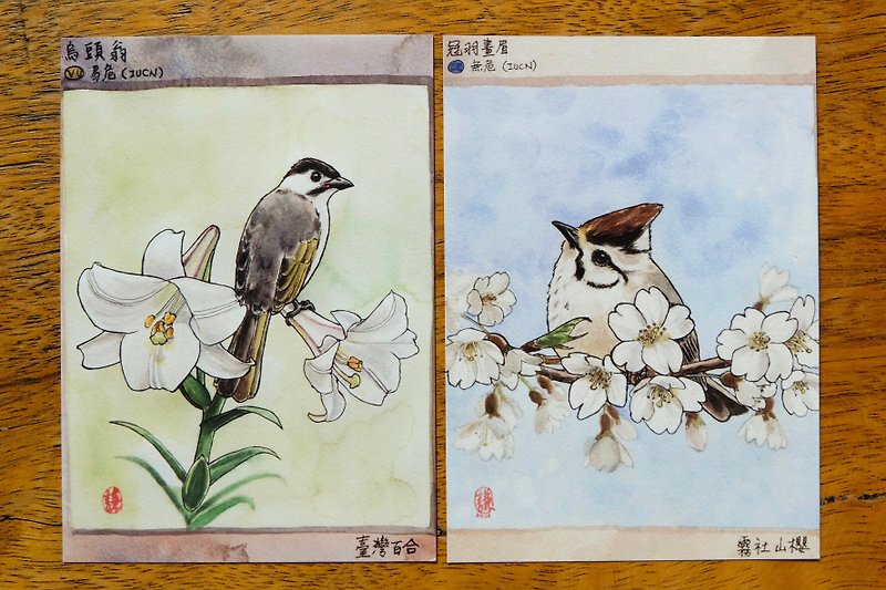 Taiwan Endemic Postcard/Black Head Weng/Crown Feather Thrush Set - การ์ด/โปสการ์ด - กระดาษ หลากหลายสี