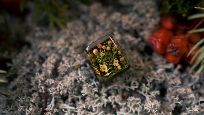 Artisan Keycap, Summer forest landscape with mushrooms, 100% Handmade resin, Mos - อุปกรณ์เสริมคอมพิวเตอร์ - เรซิน สีเขียว