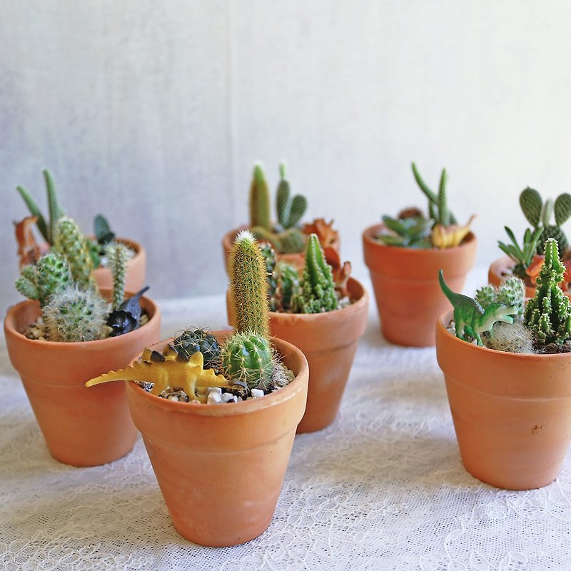 Cactus Planting*PD126/Dinosaur Cactus Biscuit Pot/ Biscuit Pot/Cactus/Style ランダム発送 - 観葉植物 - 寄せ植え・花 オレンジ