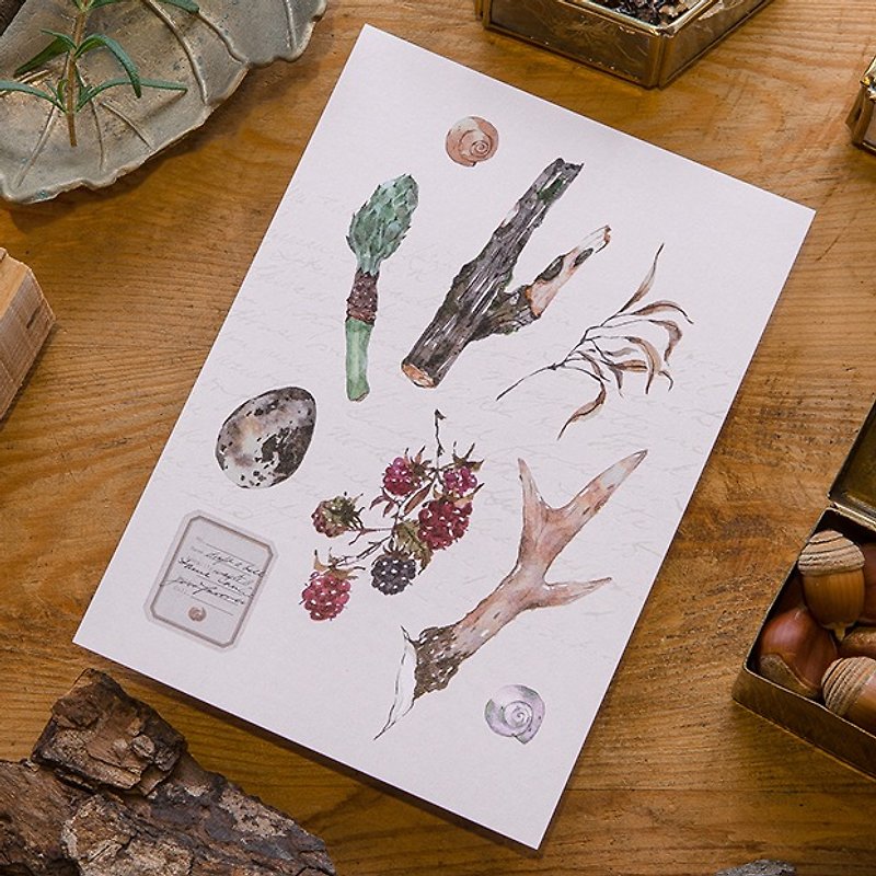 鹿角與野莓 森林採集系列明信片 - 卡片/明信片 - 紙 多色