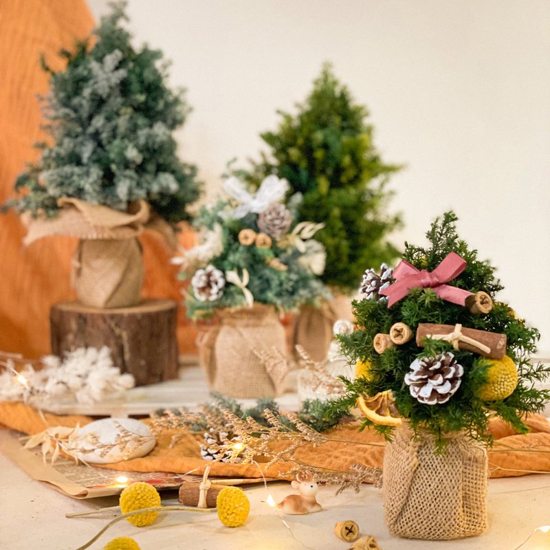 【在家體驗】 一起手作熹微晨光 x 不凋雪松聖誕樹手作DIY - 花藝/盆栽/植栽 - 植物．花 綠色