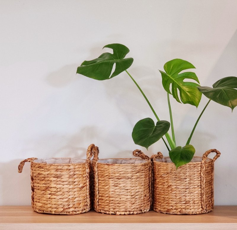 Plant pots, handicrafts from Thailand - 盆栽/植栽 - 環保材質 