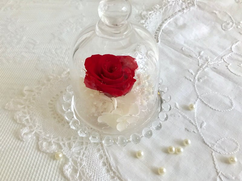 Masako  紅玫瑰玻璃花盅 - 乾花/永生花 - 植物．花 
