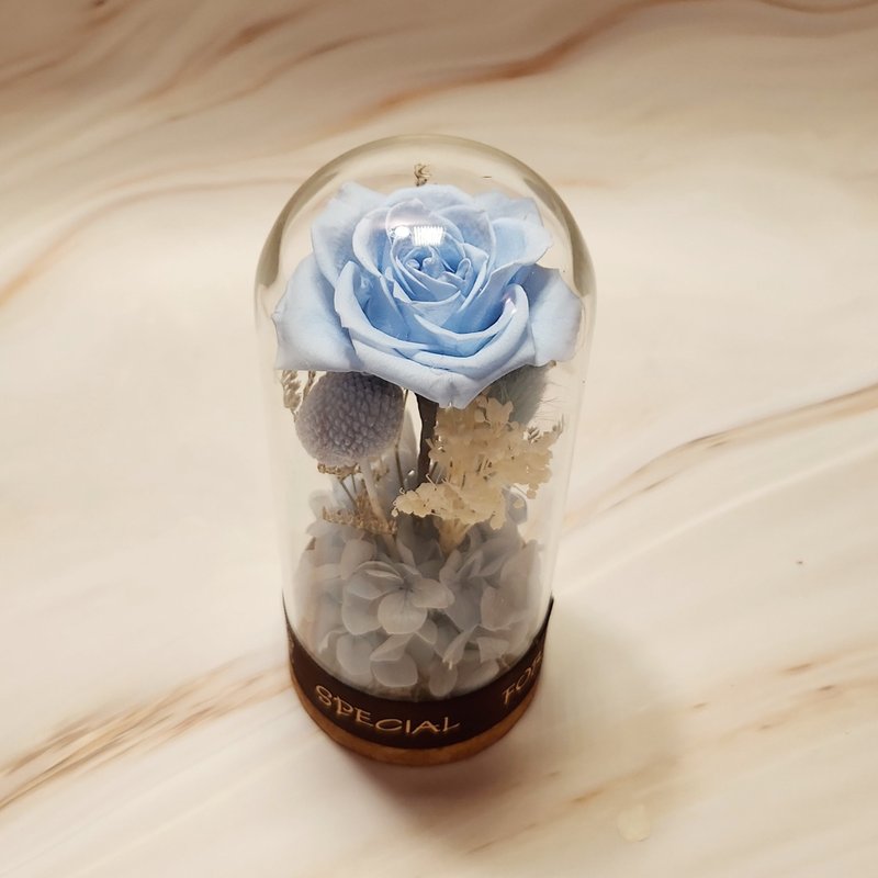 Everlasting Rose Wishing Bottle-Powder Blue - ช่อดอกไม้แห้ง - พืช/ดอกไม้ สีน้ำเงิน