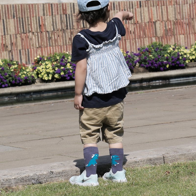 Kids Socks - Roar! - British Design for Children's Collection - Socks - Cotton & Hemp Gray