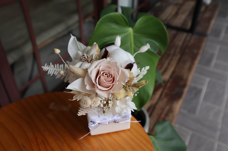 不滅のバラ \ エバーラスティングローズ 純白の綿の気質のホワイトの小さな鉢植えの花 - 置物 - 寄せ植え・花 