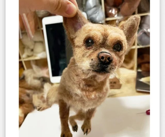 羊毛フェルト　トイプードル(レッド) 羊毛フェルト トイプードル レッドさん 20cm 大きいサイ