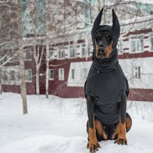 Doberman Winter Full Body Jacket Custom Made Dog Snowsuit Full Body Coat Shop WufWufStore Clothing Accessories Pinkoi