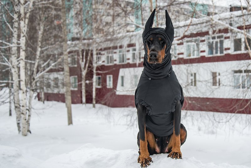Nylon Clothing & Accessories Black - Doberman Pinscher Winter Dog Coat, Winter Jacket Custom Waterproof Coat with Hat