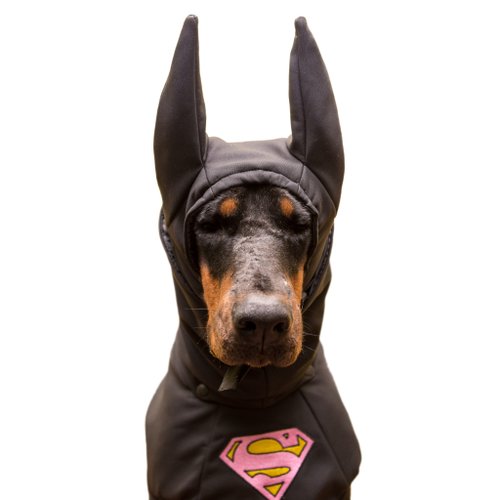 Doberman Pinscher Winter Dog Coat, Winter Jacket Custom Waterproof Coat  with Hat - Shop WufWufStore Clothing & Accessories - Pinkoi