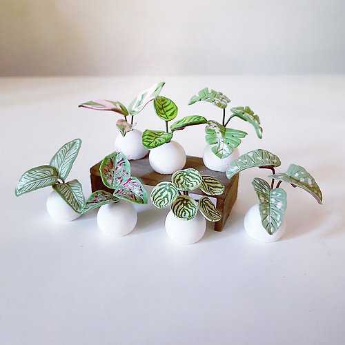 Una Sofa Handmade 優娜舒發手感小物 迷你觀葉植物 球型水泥盆植栽擺飾 。仿真黏土觀葉植