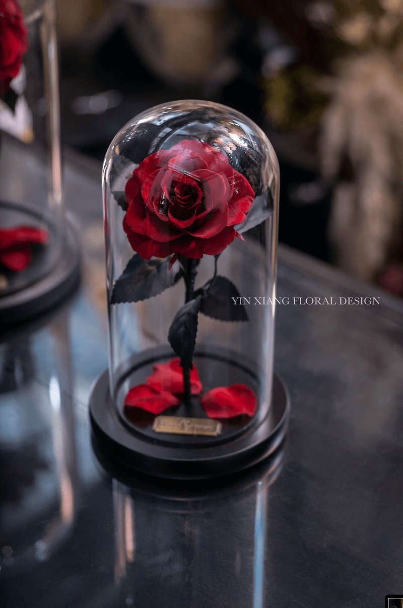 Valentine's Day Flower Gift/Beauty and the Beast Immortal Flower-Classic Invincible Rose S - Dried Flowers & Bouquets - Plants & Flowers Red