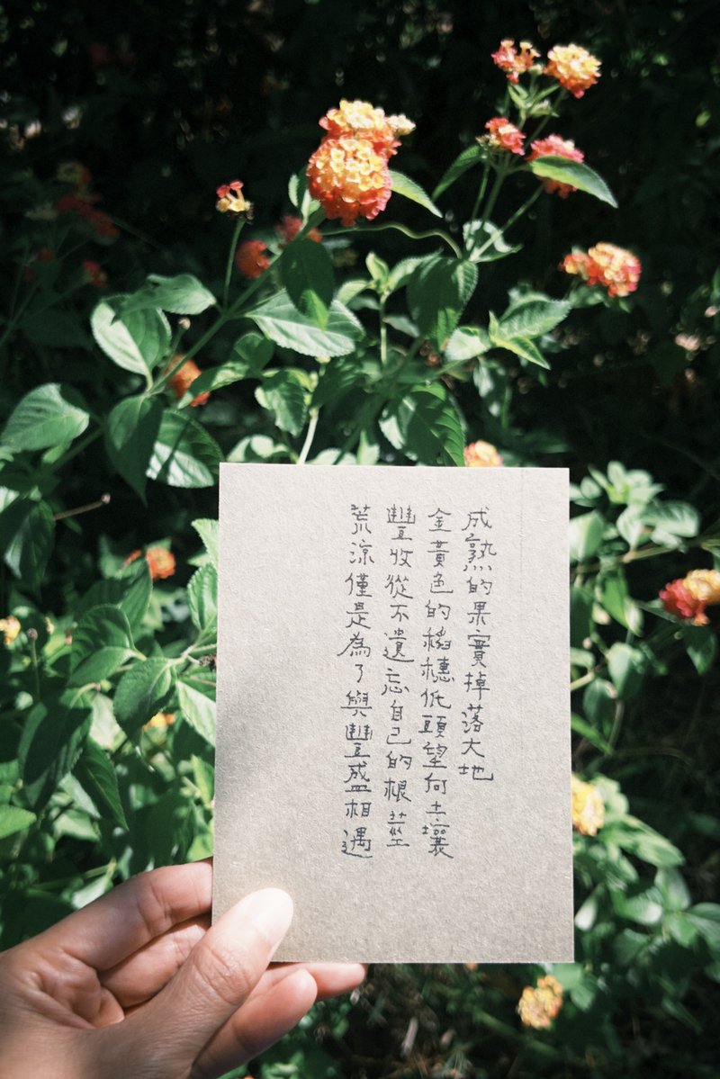 荒涼是為了與豐盛相遇 文字明信片 - 卡片/明信片 - 紙 