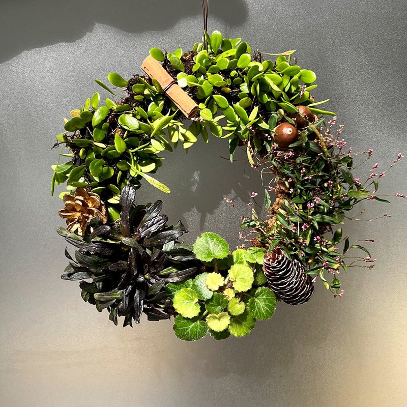 山野草花圈∣日本虎耳草 伏石蕨森林花圈 - 植物/盆栽/盆景 - 植物．花 