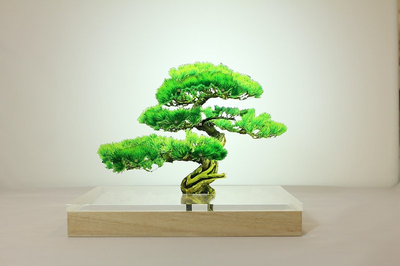 bonsai pine S size - ของวางตกแต่ง - อะคริลิค สีเขียว