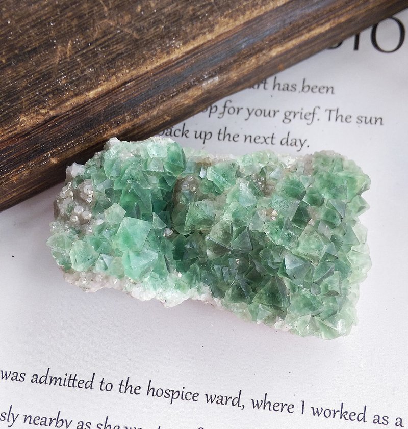 Fluorite 內蒙產地  八面體 綠螢石 天然礦石 原礦 - 擺飾/家飾品 - 其他材質 