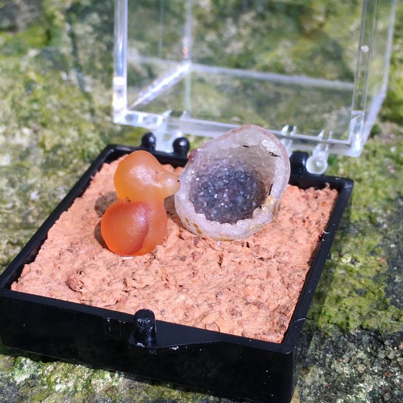 【Lost and find】Natural stone gobi agate candy duck and egg rough specimen - Items for Display - Gemstone Red