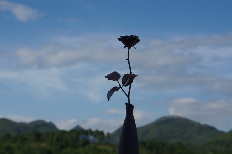 溪山手作-傳統手工紫銅玫瑰花擺件插花藝術軟裝飾品可客製 - 擺飾/家飾品 - 銅/黃銅 
