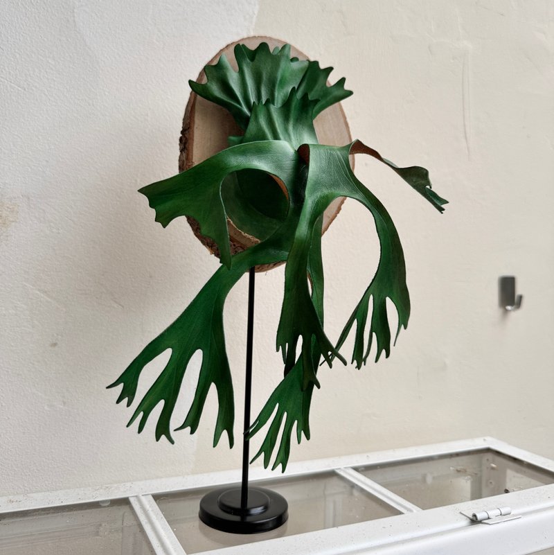 女王皮革鹿角蕨・直立展示款 - 擺飾/家飾品 - 真皮 