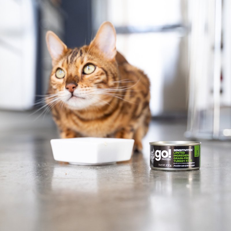 [Cat Staple Food Jar] go! German-made grain-free turkey sauce and minced meat staple food jar cat jar - Dry/Canned/Fresh Food - Fresh Ingredients 