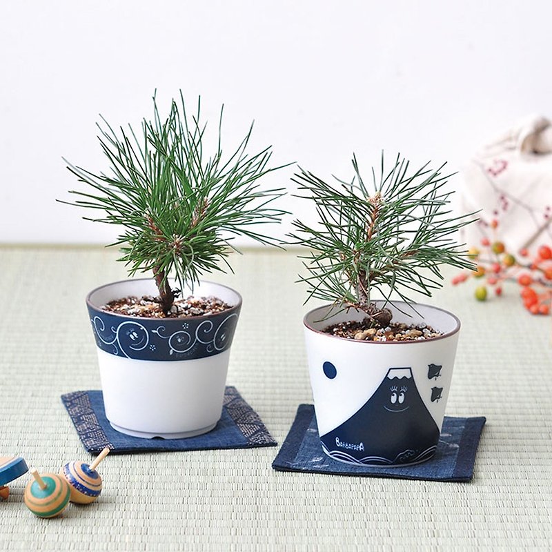 Barbapapa Mr. Bubble Blue and White Porcelain Bonsai Cultivation / Japanese Black Pine - Plants - Porcelain Multicolor