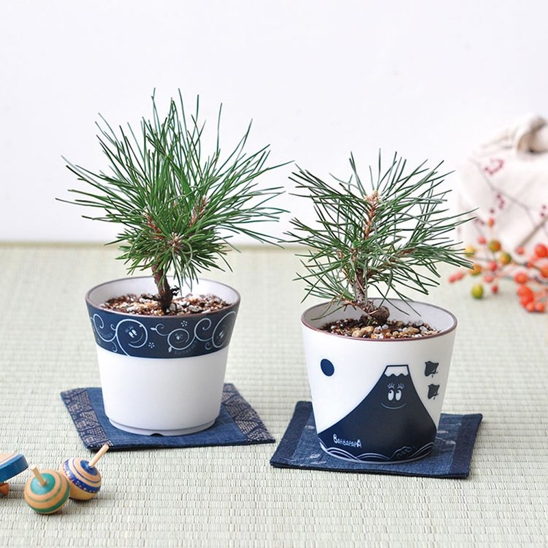 Barbapapa Mr. Bubble Blue and White Porcelain Bonsai Cultivation / Japanese Black Pine - Plants - Porcelain Multicolor