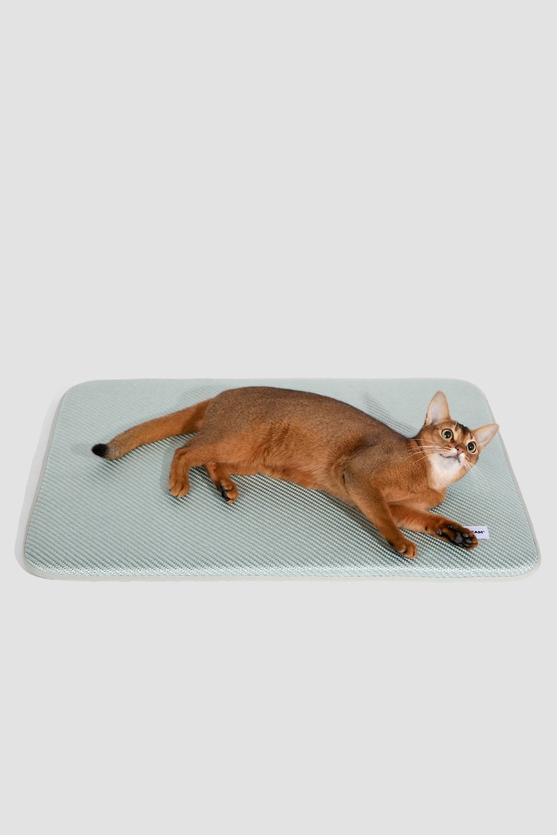 Pet summer ice pad dog mat sleeping pad cat and dog summer cooling pad pet mat cat and dog mat - Bedding & Cages - Polyester Green