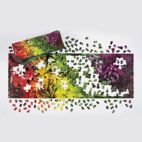galison | 來自紐約 galison | 藝術拼圖1000片|彩虹排列居家植物|植物拼圖|聖誕禮物