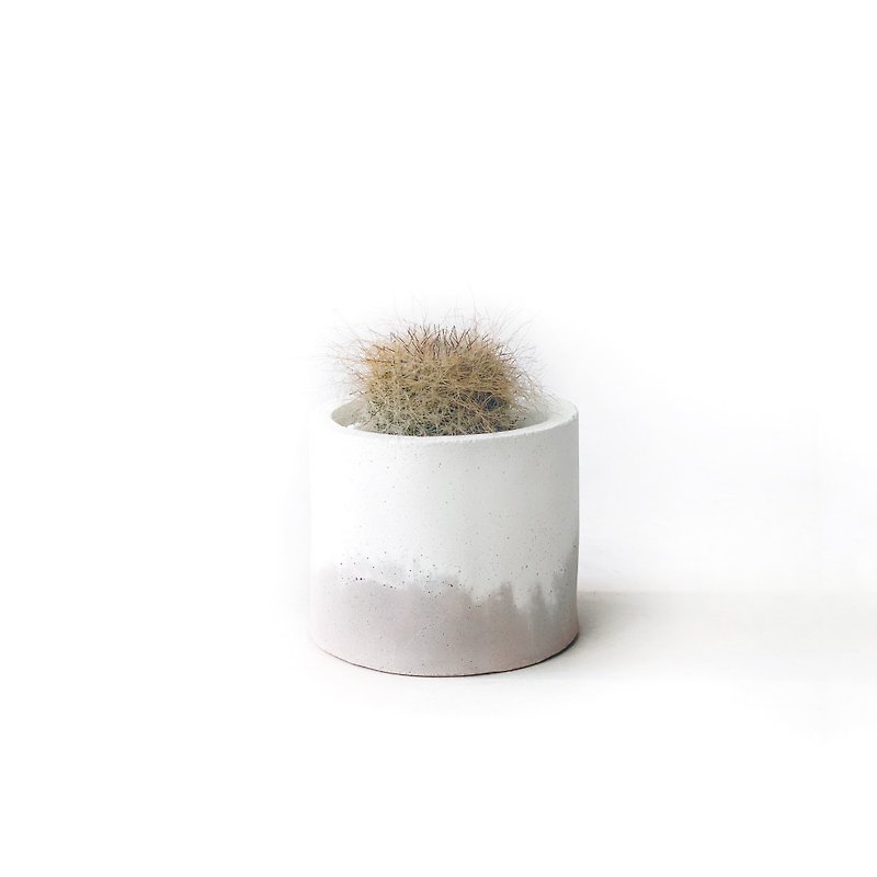 (Pre-order) Milk Tea Series | Yuweng Small Round Two-Color Cement Cactus Planting - ตกแต่งต้นไม้ - พืช/ดอกไม้ สีกากี
