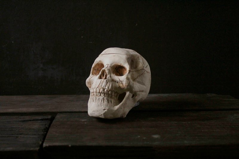 Skull pottery box (12cm high, storage box, candle cover, diffuser cover) - Storage - Pottery White