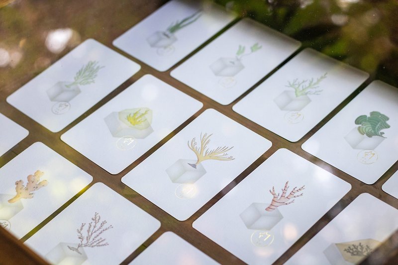 Langcha Original Collection | Formosa Tea Oracle Card - การ์ด/โปสการ์ด - กระดาษ 