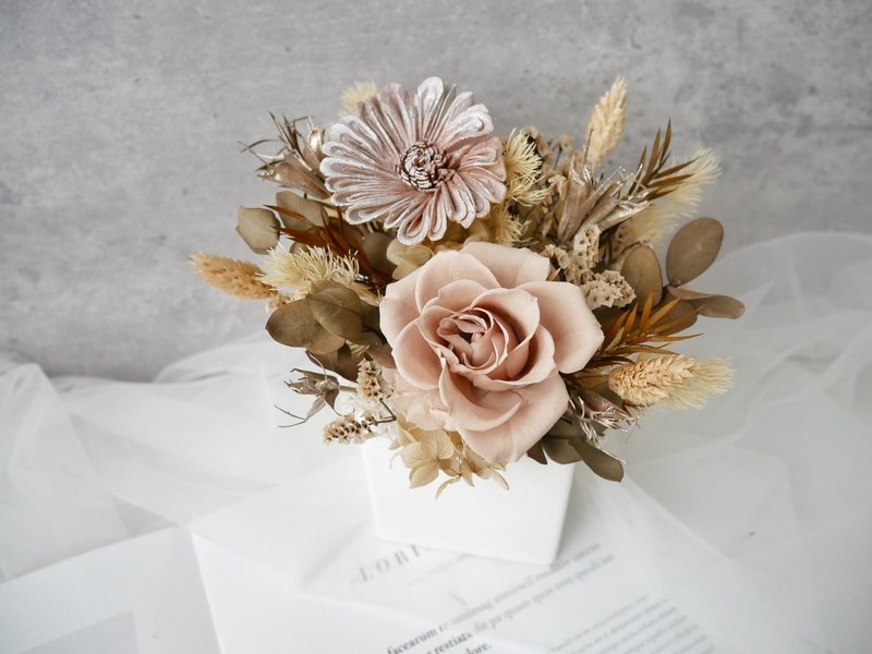 方盆中小型不凋花盆花【柔和杏棕】開幕/辦公擺飾/咖 - 盆栽/植栽 - 植物．花 卡其色