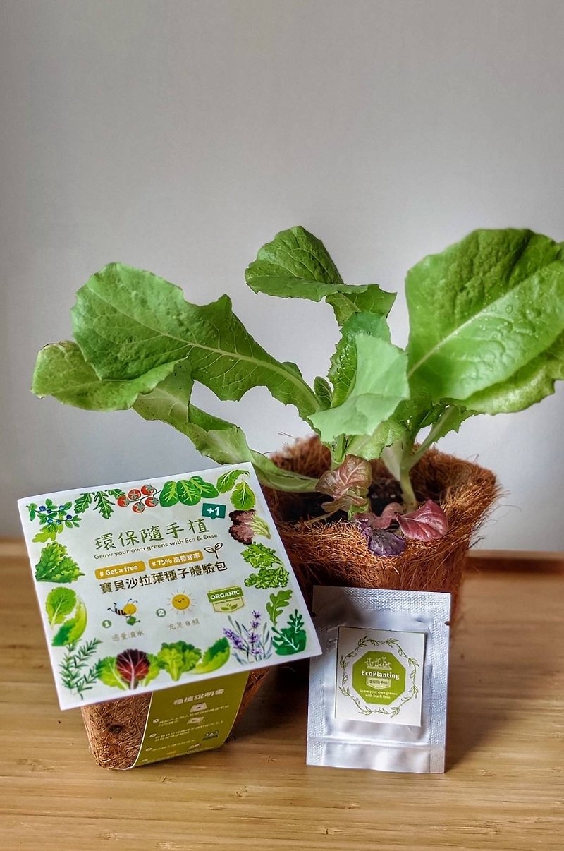 Ecoplanting 4 fun - baby salad leave - Plants - Plants & Flowers Green
