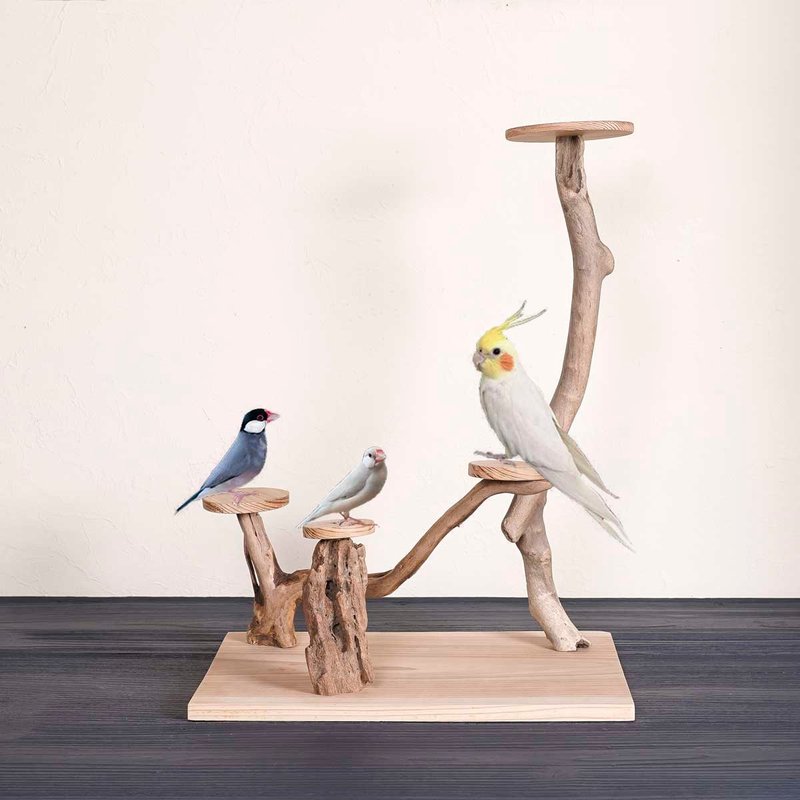 Driftwood Perch  Birdland Lullaby  Bird stand, perch, driftwood, driftwood art, - ของเล่นสัตว์ - ไม้ สีนำ้ตาล