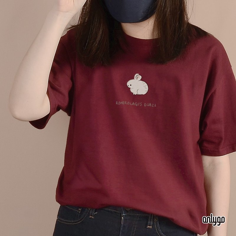 Cotton & Hemp Women's T-Shirts - Ecological theme T-shirt Endangered animal clothes / Volcanic rabbit