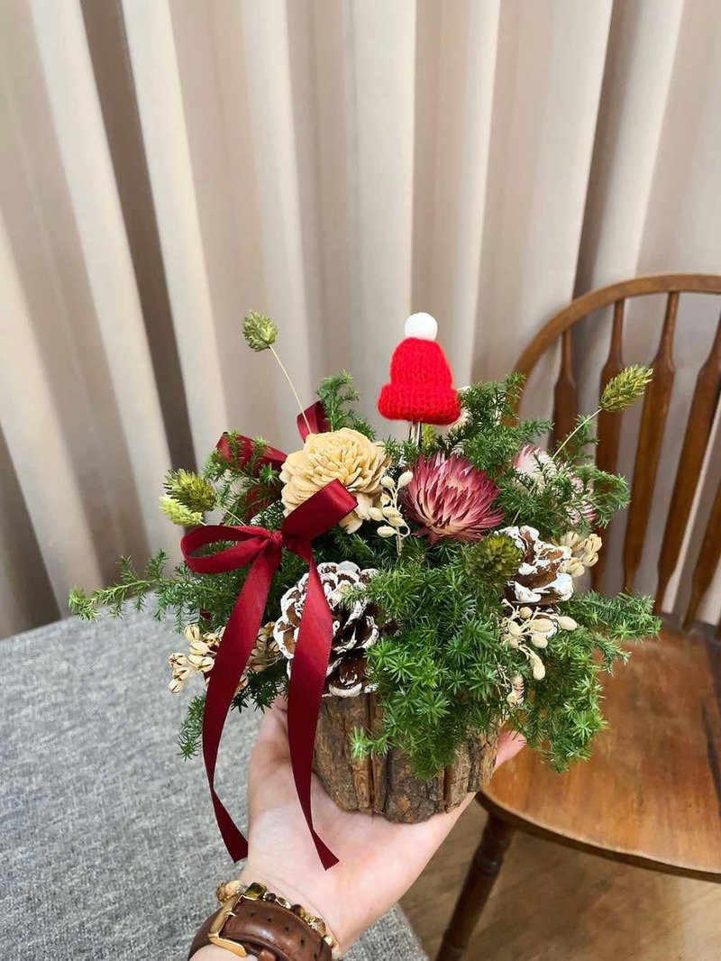 Dry cedar table flowers [pine] flower pots opening table flowers Christmas table flowers Christmas house moving - ช่อดอกไม้แห้ง - พืช/ดอกไม้ สีเขียว