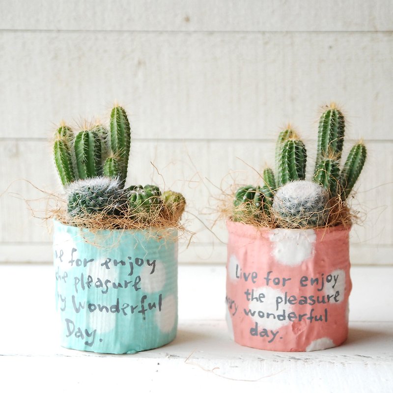 Canned circle circle planting pot - single into the optional color containing cactus plants - birthday housewarming lover married - ตกแต่งต้นไม้ - พืช/ดอกไม้ สีเขียว