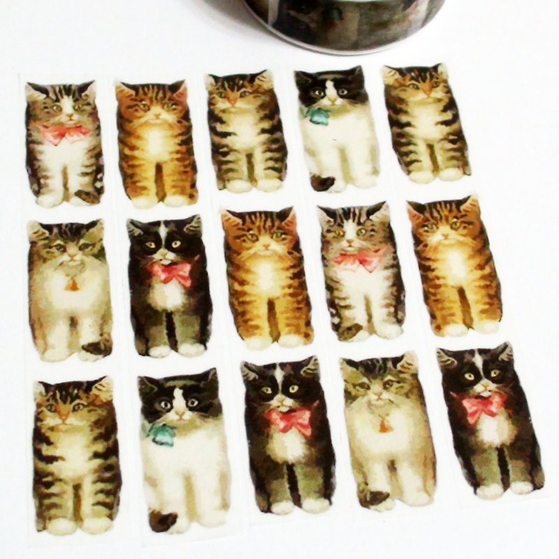 Masking Tape House Cat - มาสกิ้งเทป - กระดาษ 