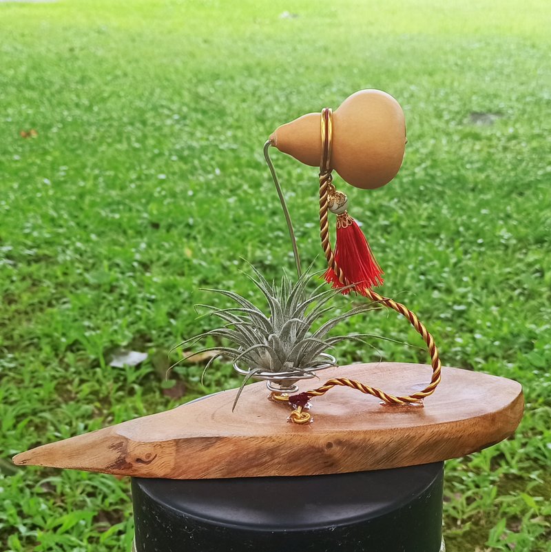 【福到興旺】 葫蘆/植物木頭底座/空氣鳳梨 - 盆栽/植栽 - 木頭 卡其色