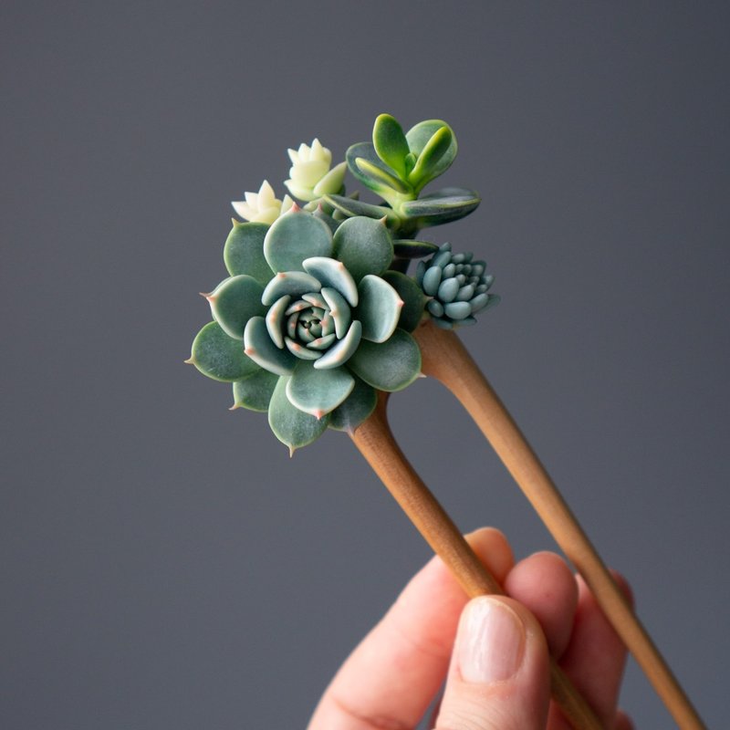 木質髮簪搭配仿真 Chihuahua 擬石蓮 - 髮夾/鯊魚夾 - 其他材質 