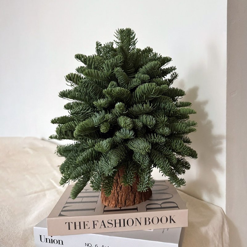 新鮮諾貝松無裝飾聖誕樹 聖誕樹 聖誕禮物 可乾燥 交換禮物 - 乾燥花/永生花 - 植物．花 