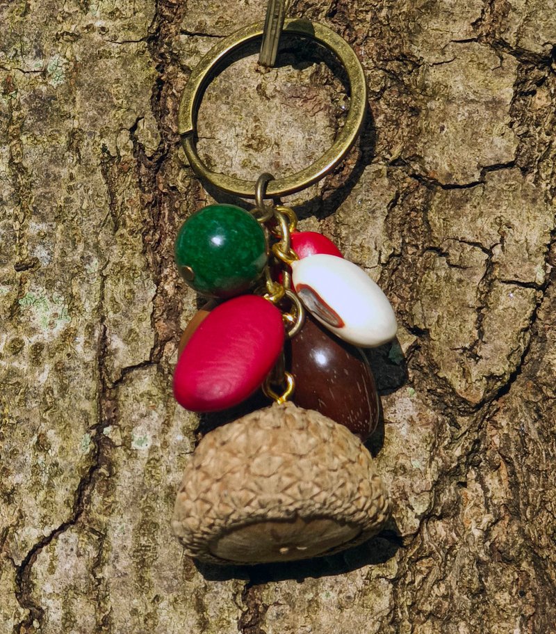 木の実と種のキーホルダー - テンジクボダイジュ - キーホルダー・キーケース - その他の素材 