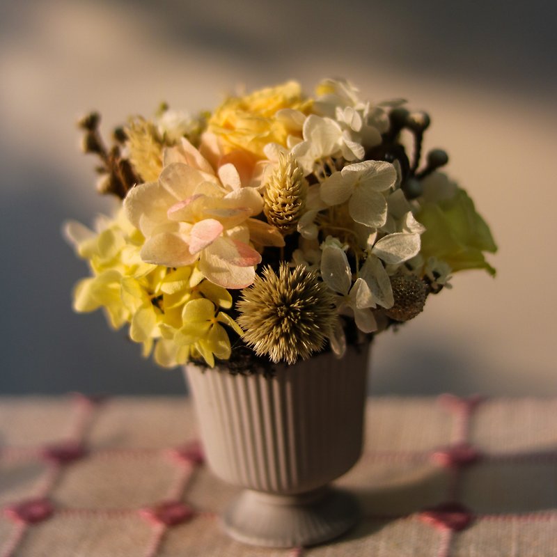 優しく優雅な絶妙な不滅の鉢植えの花 - ドライフラワー・ブーケ - 寄せ植え・花 イエロー