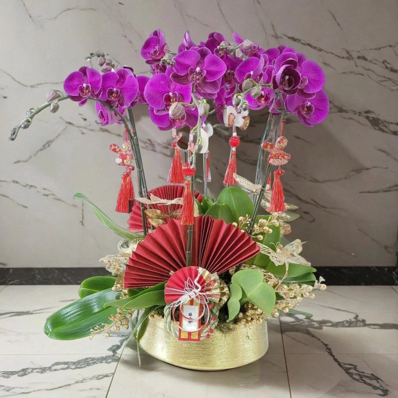 大花蝴蝶蘭8棵 蘭花 辦公室枱花 大堂枱花 開張 新春蘭 - 盆栽/植栽 - 植物．花 