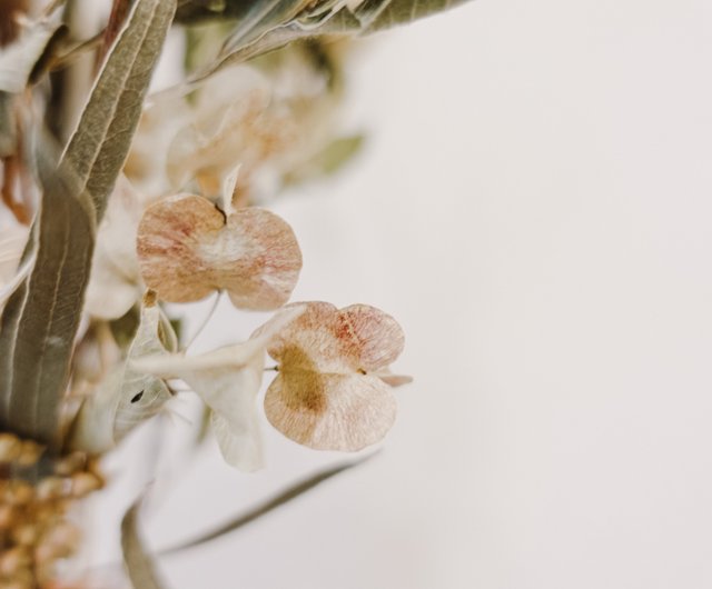 4月のムーンフラワー ドライフラワー素材の組み合わせl家の装飾 Diy ショップ Meadow Studio ドライフラワー ブーケ Pinkoi