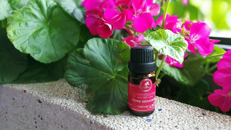 Premium rose geranium essential oil 10ml 100% essential oil for women during natural menstrual period - น้ำหอม - น้ำมันหอม 