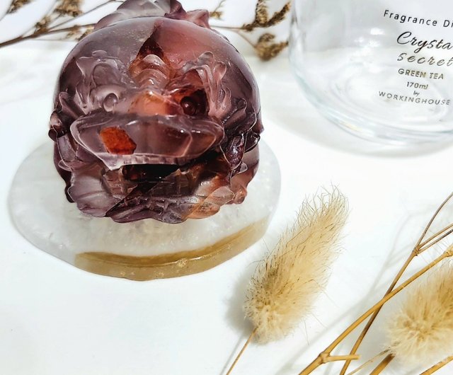 ドラゴンタートル 龍亀 ブラジル産