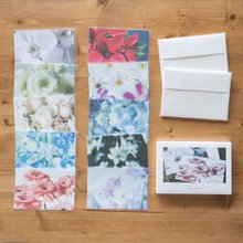 花のポスター スイートピー A4サイズ FWM-008A - ショップ Fragsphere